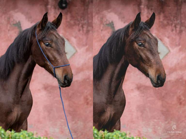 Foto-Halfter aus Nylon vor und nach der Retusche