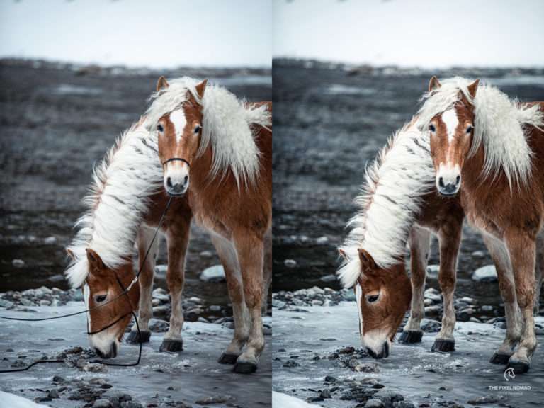 Foto-Halfter aus Seil und Biothane vor und nach der Retusche